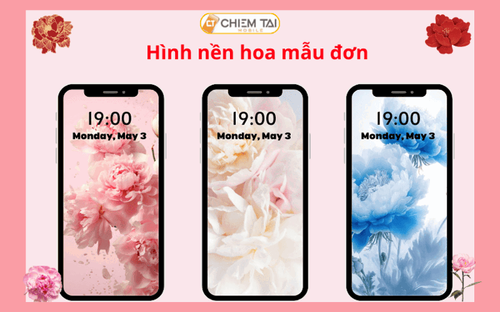 199+ Hình nền hoa mẫu đơn FULL HD 4K thu hút chất lượng tải miễn phí