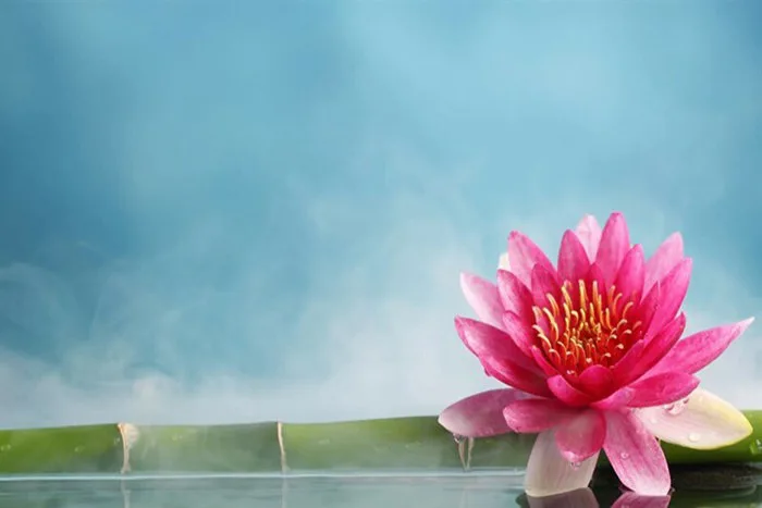 Hình nền PowerPoint hoa sen