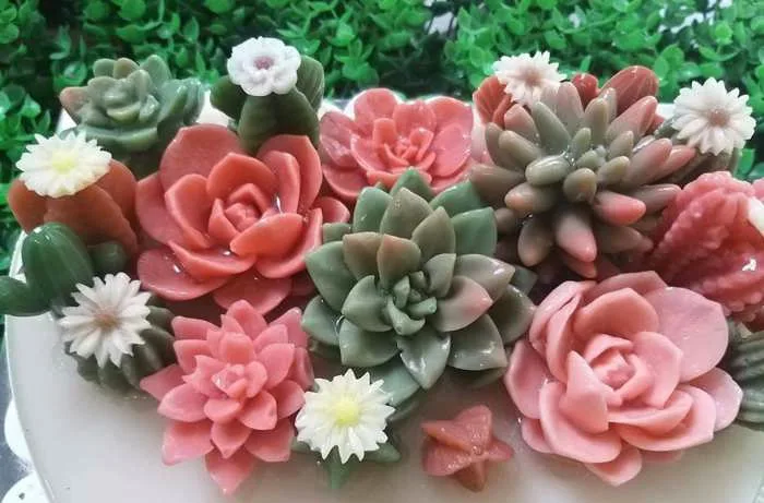 Thiên đường' sen đá đẹp-độc-lạ vừa ăn vừa ngắm của mẹ đảm Nha Trang Thiên đường' sen đá đẹp-độc-lạ vừa ăn vừa ngắm của mẹ đảm Nha Trang