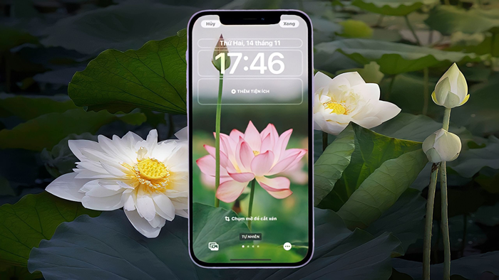 Hình nền hoa sen cho iPhone vô cùng đẹp mà mọi người không thể bỏ qua Hình nền hoa sen cho iPhone vô cùng đẹp mà mọi người không thể bỏ qua