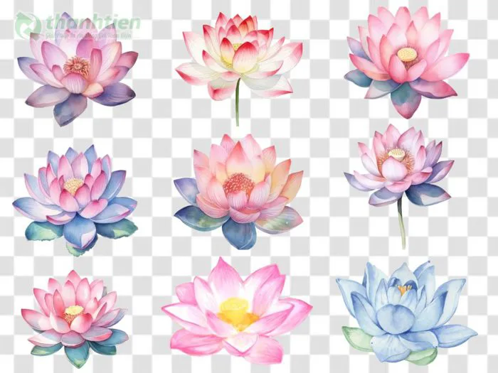 Tải Hoa Sen Vector Đẹp Sắc Nét File PNG/AI/EPS Miễn Phí Tải Hoa Sen Vector Đẹp Sắc Nét File PNG/AI/EPS Miễn Phí