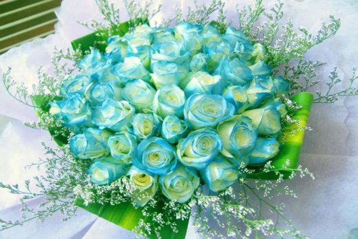 Hình ảnh hoa đẹp sinh nhật và ấn tượng trong ngày sinh nhật