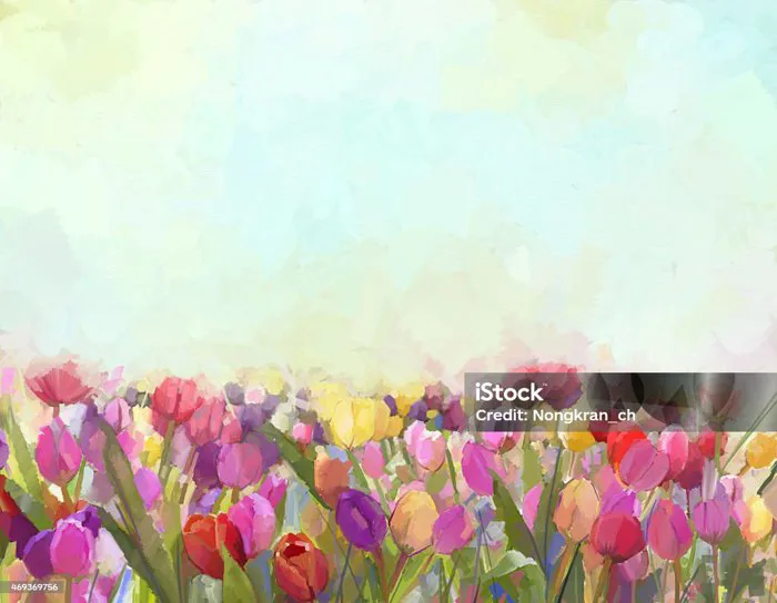 Tranh Sơn Dầu Hoa Tulip Trên Đồng Cỏ Hình minh họa Sẵn có - Tải xuống Hình  ảnh Ngay bây giờ - Tulip, Ảnh nền - Chủ đề, Cánh đồng nông nghiệp - iStock
