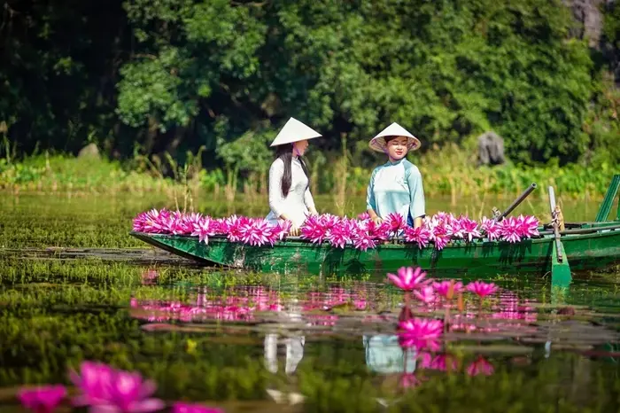 Bộ sưu tập 70 ảnh background hoa súng chất lượng full HD