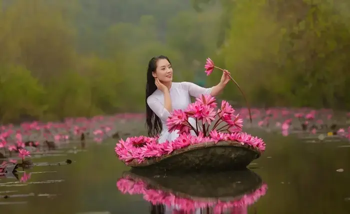 Bộ sưu tập 70 ảnh background hoa súng chất lượng full HD