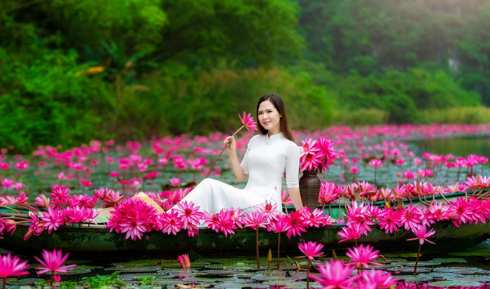 Mùa hoa súng nở rộ ở Ninh Bình