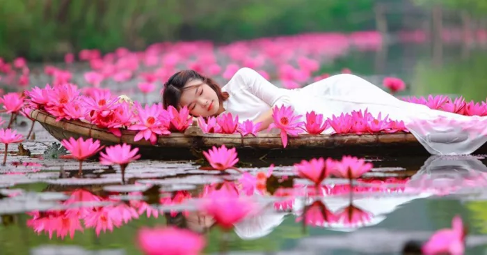 Mùa hoa súng đẹp như chốn thần tiên ở chùa Hương Mùa hoa súng đẹp như chốn thần tiên ở chùa Hương