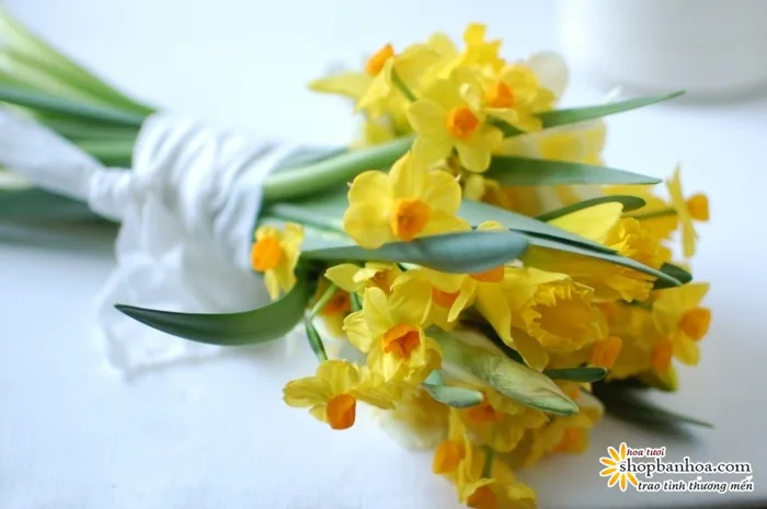 Hoa Sinh Nhật Tháng 3 – Hoa Thủy Tiên Vàng – Khởi Đầu Mới Đầy Thuận Lợi