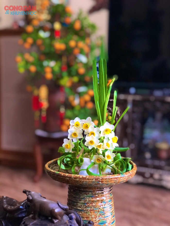 Hoa thủy tiên - nét thanh tao ngày Xuân