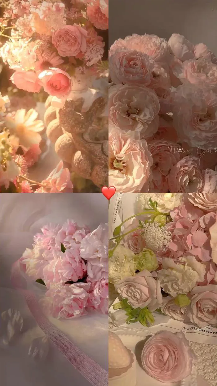 Hoa mẫu đơn (Thu hút tình yêu,có ngyêu & hạnh phúc) ❤️