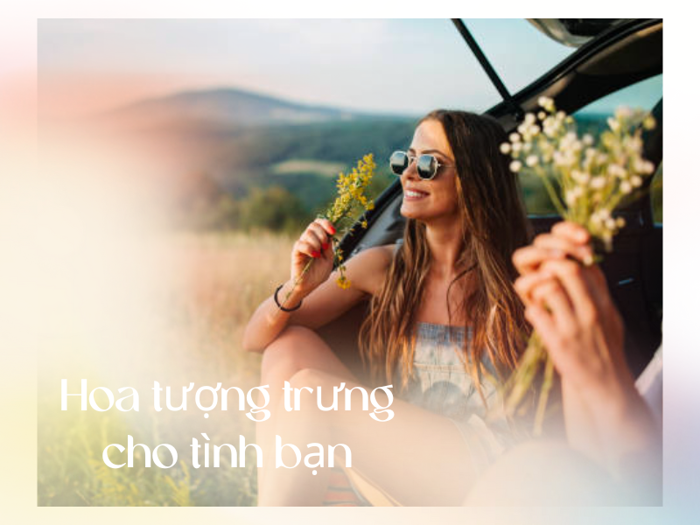 10+ Loài Hoa Tượng Trưng Cho Tình Bạn & Dịp Nên Tặng – Flosa