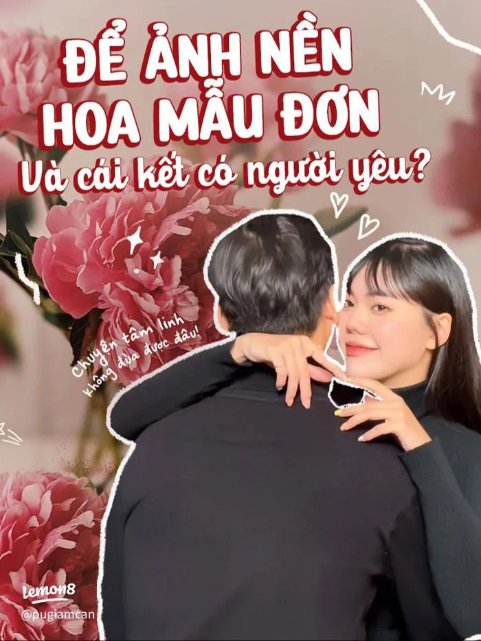 Hình nền hoa mẫu đơn thu hút tình duyên: chuyện tâm linh không đùa được đâu