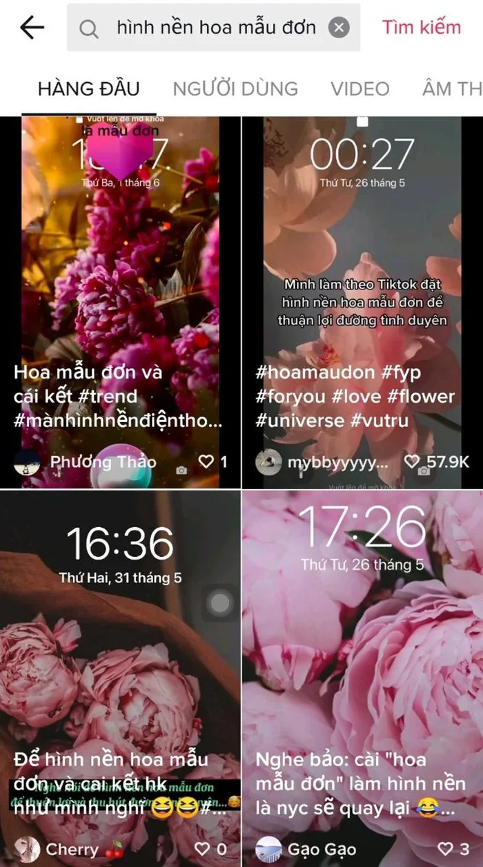 Cài hình nền hoa mẫu đơn để sớm có 