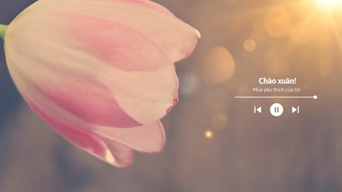 Hình Nền Tối Giản Đẹp Miễn Phí | Canva