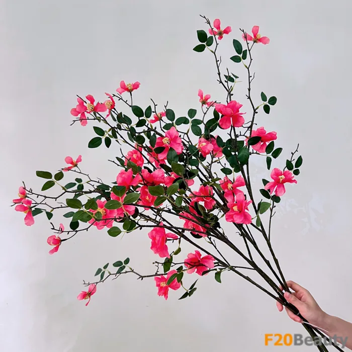 Hoa trà Camellia màu hồng