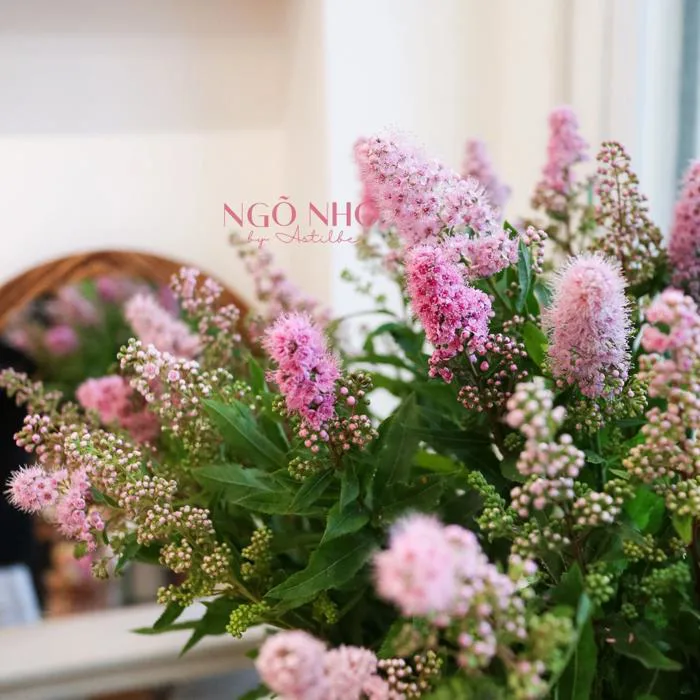 Hoa Lẻ) Hoa Trân Châu Hồng Nhập Khẩu | Tiệm Hoa Ngõ Nhỏ