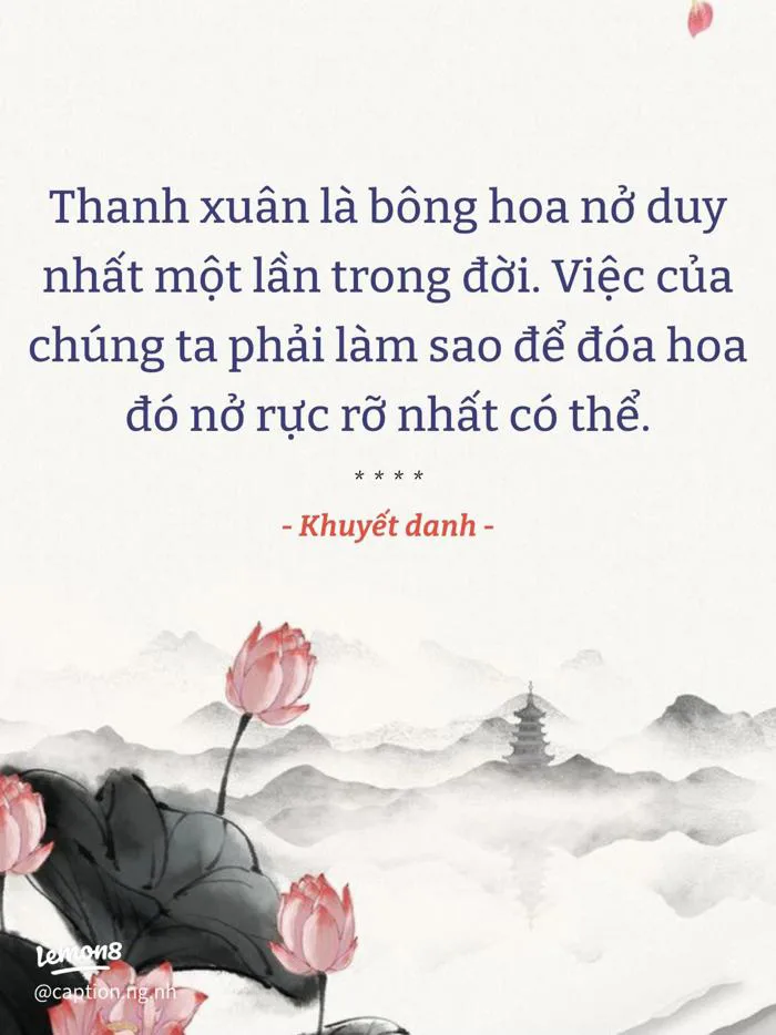 Status hoài niệm sâu lắng về bầu trời xanh và hoa, dành cho những ngày cô  đơn