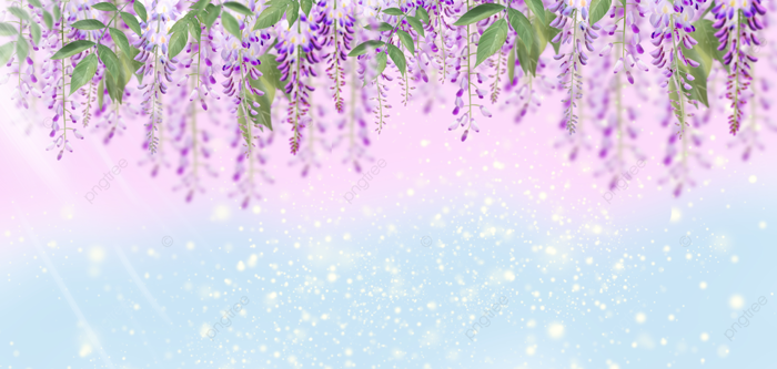 Hình nền Nền Hoa Tử đằng Che Bóng Hoa Tử đằng Tươi, Hoa Tử đằng, Bóng Hoa  Wisteria, Nền Hoa Tử đằng Background Vector để tải xuống miễn phí - Pngtree