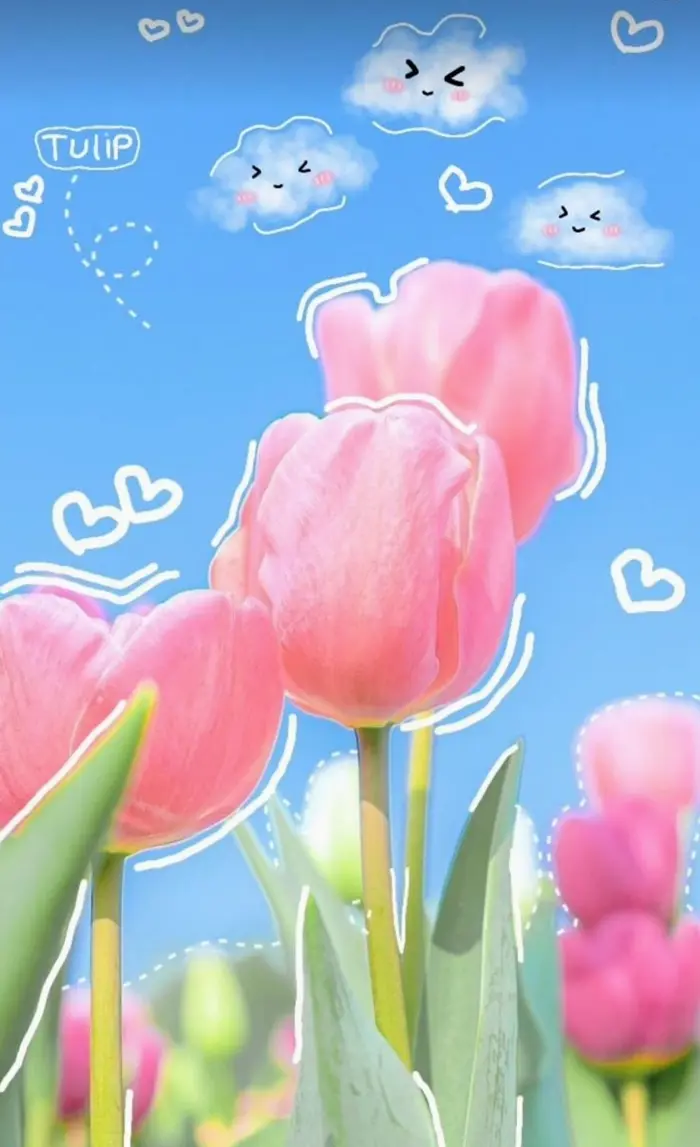 Tổng hợp bộ sưu tập hình nền hoa tulip hồng siêu đẹp chill nhất 2026
