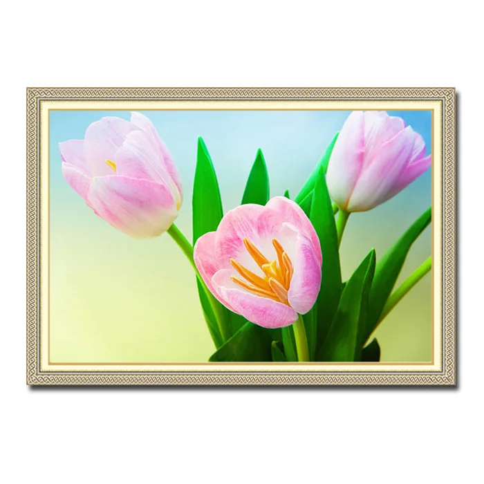 Tranh hoa tulip đẹp màu hồng tươi trên nền xanh HTL063