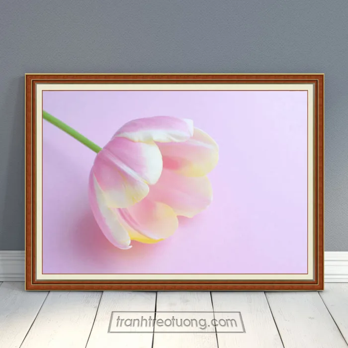 Mẫu tranh bông hoa tulip và nền tím hồng HTL094
