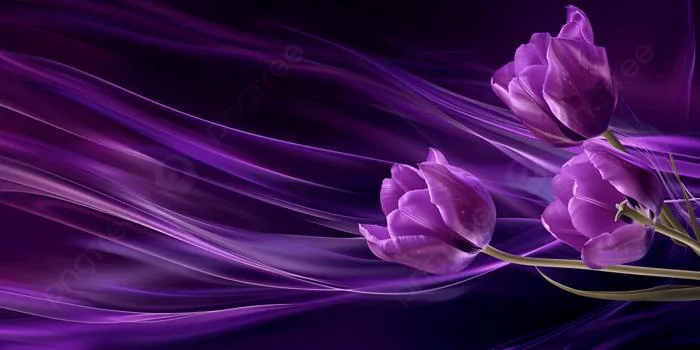 Hoa Tulip Màu Tím Tuyệt đẹp Tương Phản Với Màu Sắc Ảnh Và Hình ảnh Để Tải  Về Miễn Phí - Pngtree