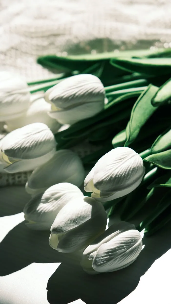 10.000+ ảnh đẹp nhất về Hoa Tulip Trắng · Tải xuống miễn phí 100% · Ảnh có  sẵn của Pexels