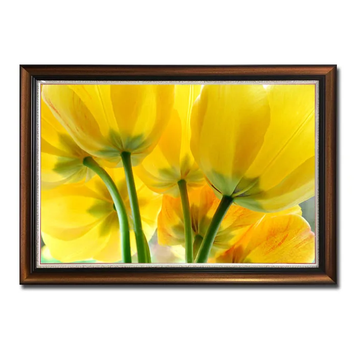 Mẫu tranh hoa tulip vàng đẹp nhìn từ cuống hoa HTL072