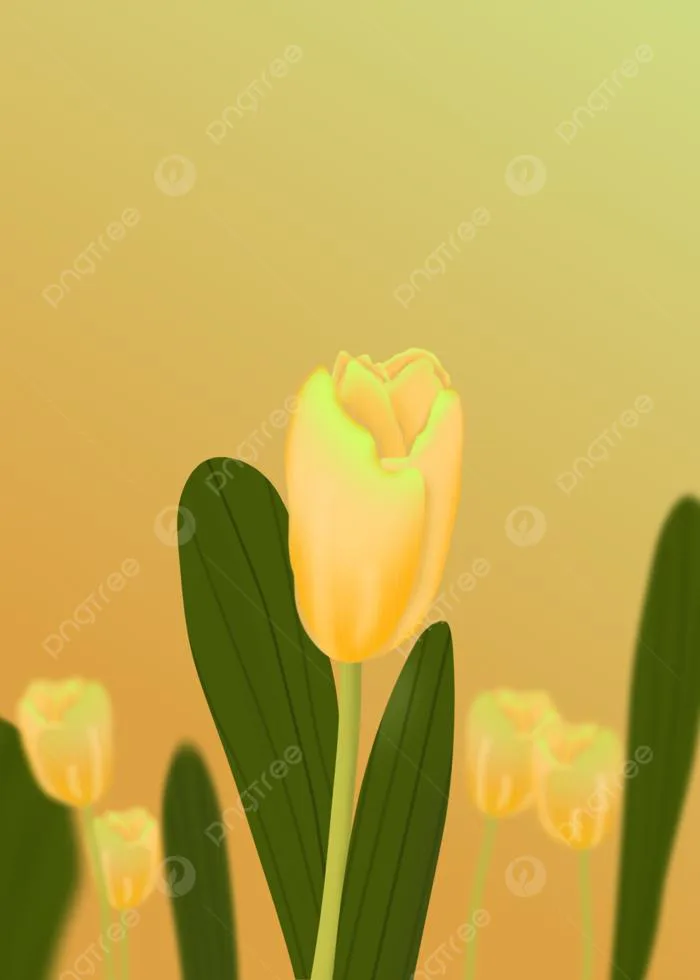 Nền Vườn Hoa Tulip Vàng đẹp Hình Nền Cho Tải Về Miễn Phí - Pngtree