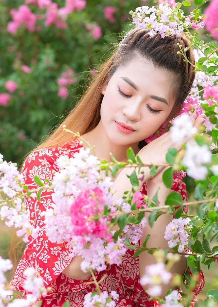 Chụp ảnh hoa tường vi
