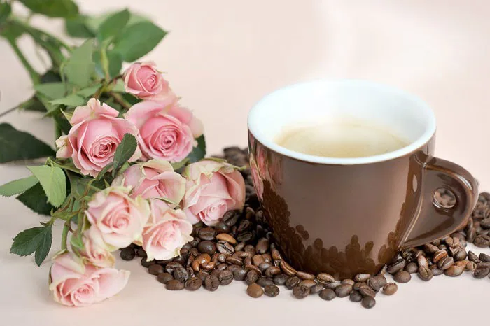Hình ảnh Cafe tuyệt đẹp