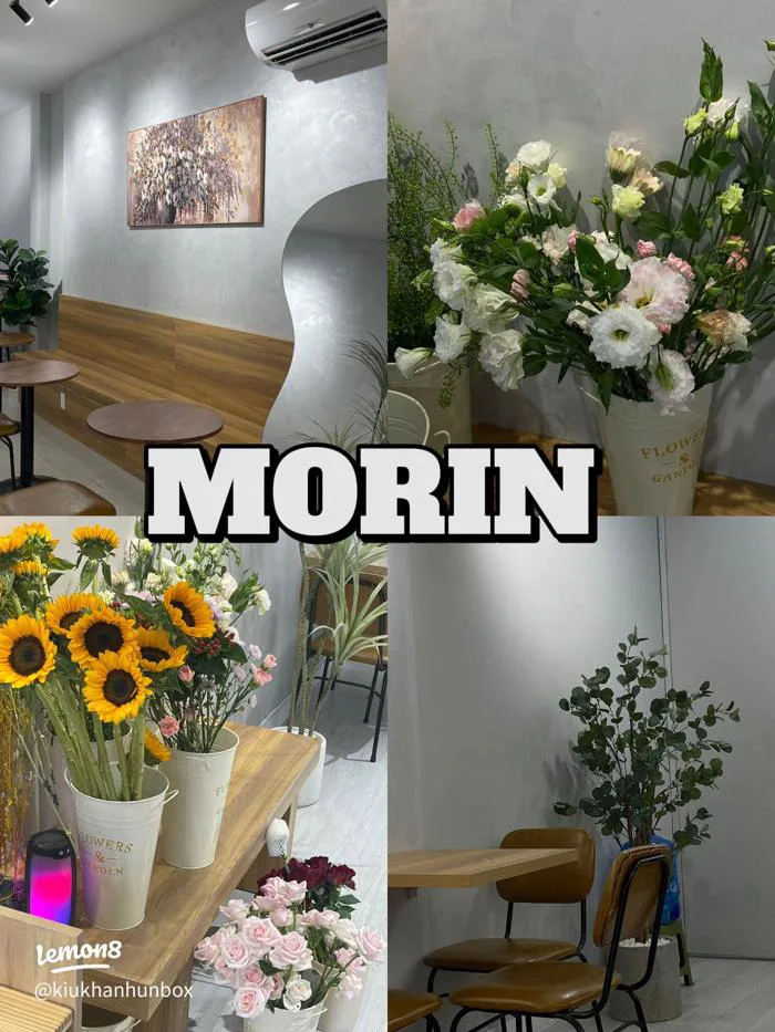 Morin Coffee Bình Thạnh: quán cà phê hoa chill, nước ngon, góc sống ảo thơ  mộng
