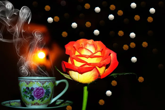 hình ảnh : Cafe, cà phê, ngọt, buổi sáng, Cánh hoa, bông hồng, món ăn, ngày  lễ, Đồ tráng miệng, thắp sáng, thơm ngon, hình minh họa, truyên thông,  tiếng Ả Rập,