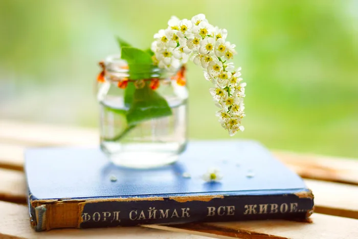 Hình ảnh sách đẹp