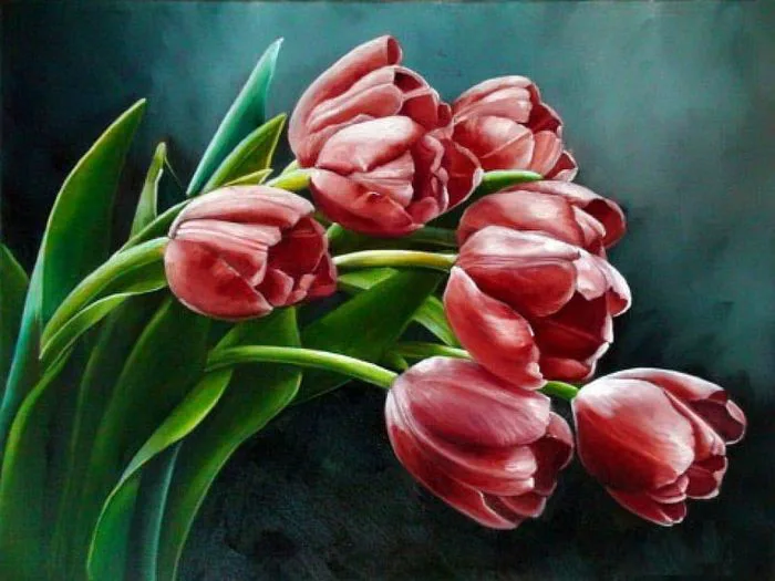 Hình nền hoa Tulip vẽ tay đẹp mê hồn