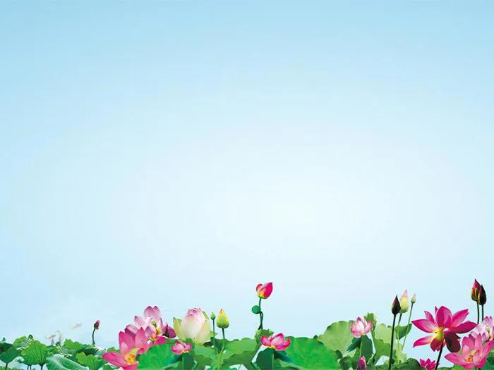 Tải 20+ mẫu background hình nền hoa sen dạng vector định dạng AI, EPS, CDR, SVG và PNG chuẩn sắc nét - Inviva.vn