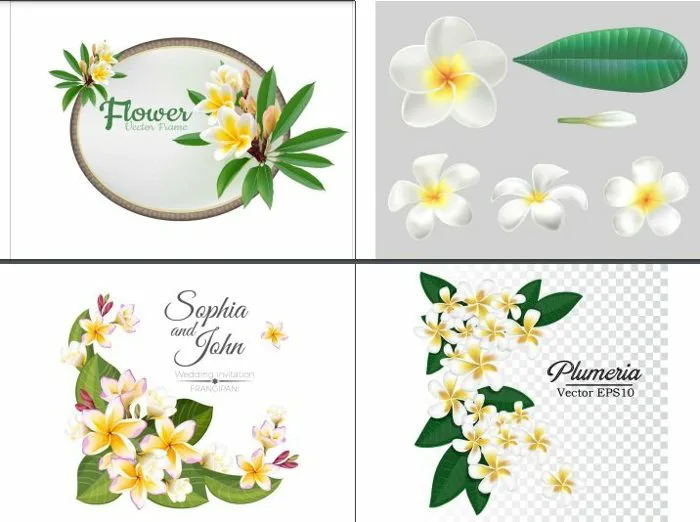 Download Free 100+ Hoa Vector file CDR, PNG, EPS, JPG, AI, PSD