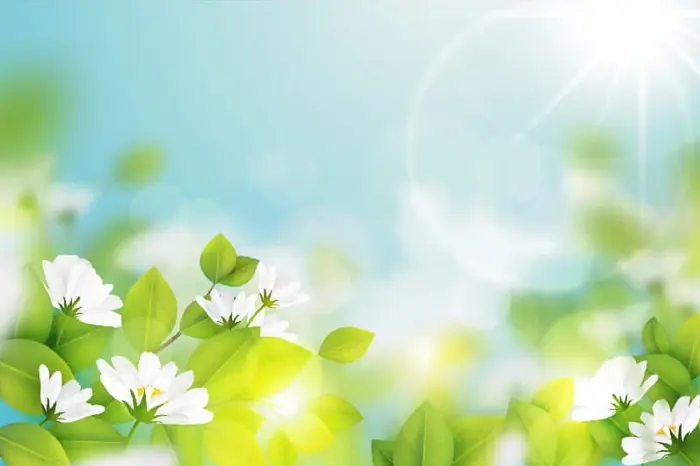 Tổng hợp 15+ mẫu background hoa đơn giản tinh tế và ấn tượng