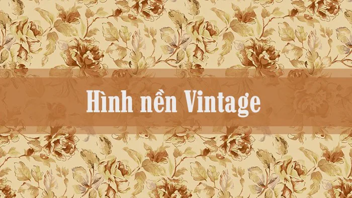 100+ Background, hình nền Vintage đẹp, đơn giản cho máy tính, điện tho