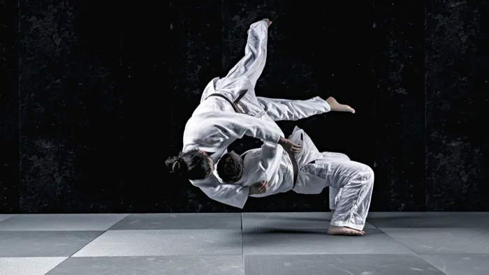 Judo Wallpapers (31 images) - WallpaperCat