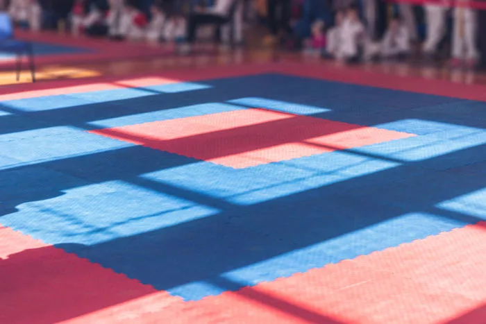 100+ Judo & ảnh Võ Karate miễn phí - Pixabay