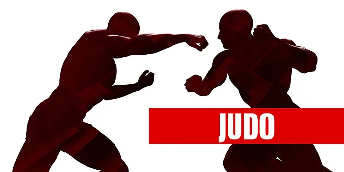 Hình ảnh Nền Judo, Judo Vector Nền Và Tập Tin Tải về Miễn Phí | Pngtree