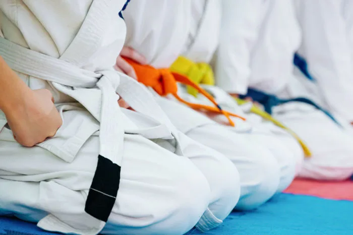 100+ Judo & ảnh Võ Karate miễn phí - Pixabay