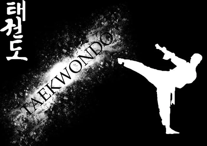 Cool Karate Wallpapers - Top Free Cool Karate Backgrounds - WallpaperAccess