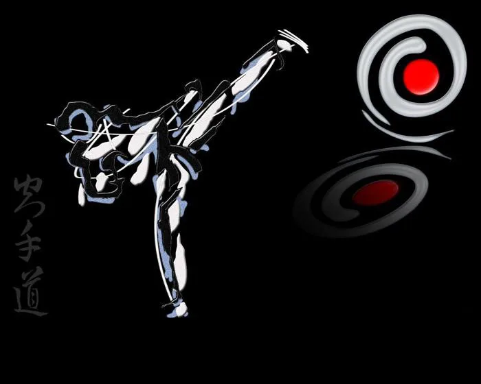 Shotokan Karate Do Wallpapers - Top Free Shotokan Karate Do Backgrounds -  WallpaperAccess