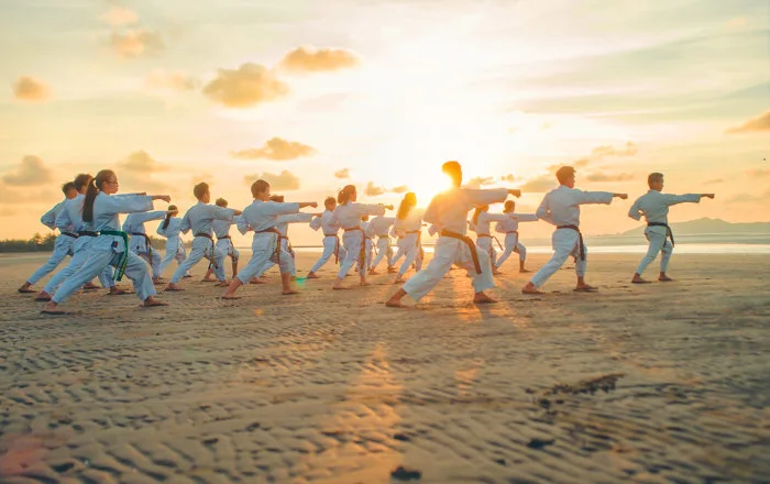 ảnh karate - HThao Studio tại Tp.HCM