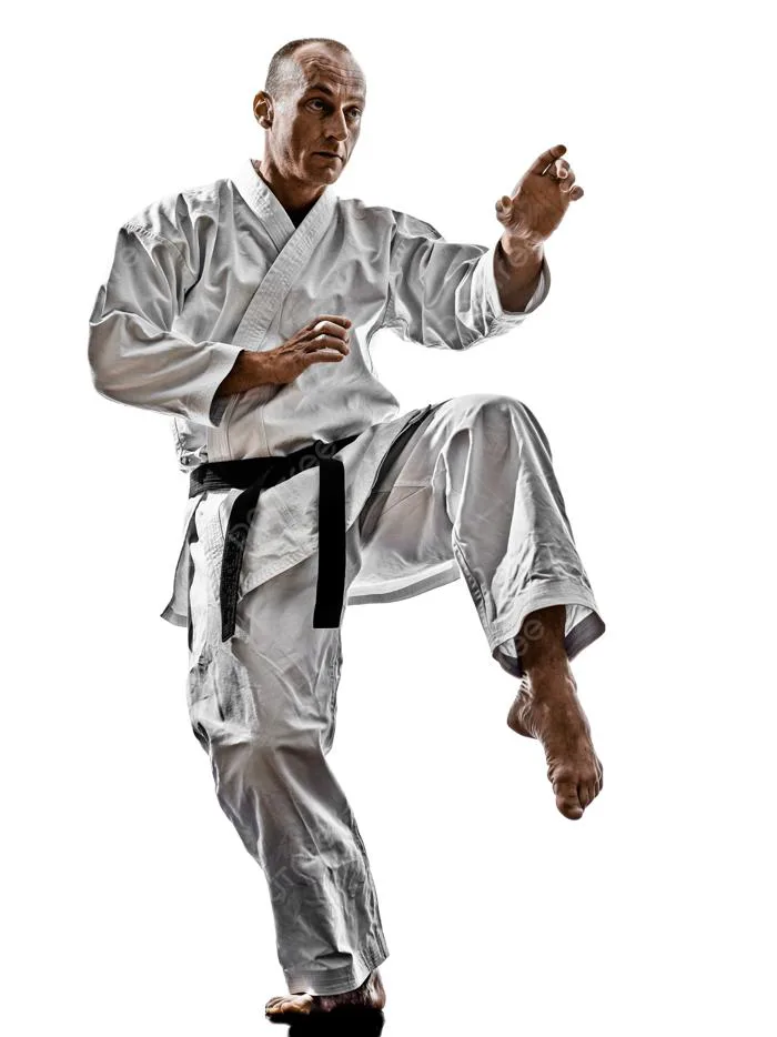 Hình ảnh Nền Karate, Karate Vector Nền Và Tập Tin Tải về Miễn Phí | Pngtree