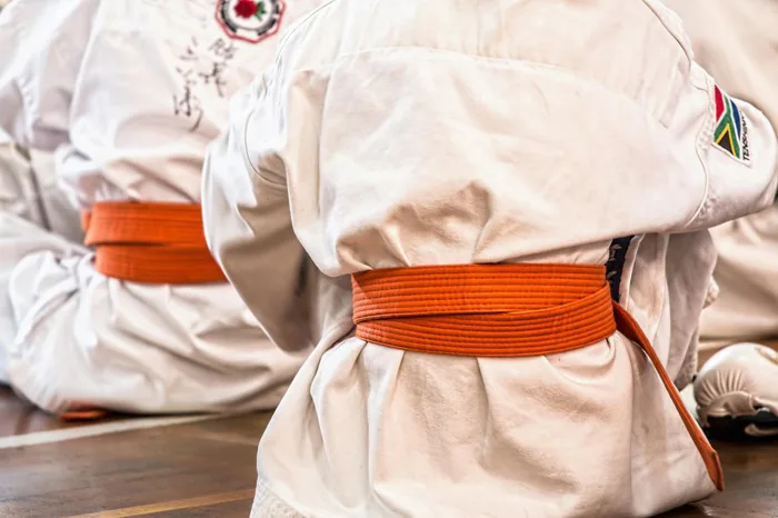 600+ Karate & ảnh Võ Karate miễn phí - Pixabay