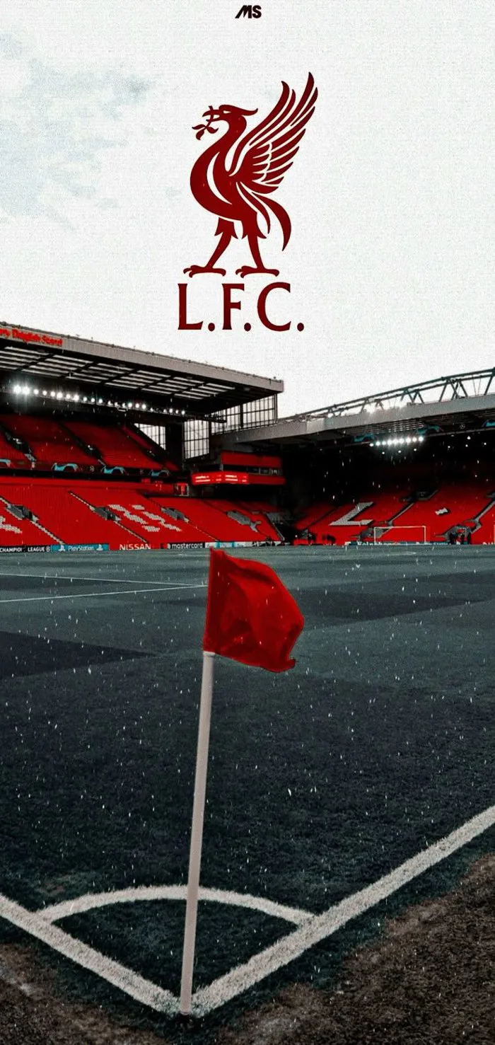 Iphone wallpaper liverpool | Liverpool football team, Lfc wallpaper,  Liverpool football club wallpapers