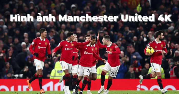 Tải 199+ Ảnh Manchester United 4K, Full HD | Hình Nền MU Đẹp Nhất